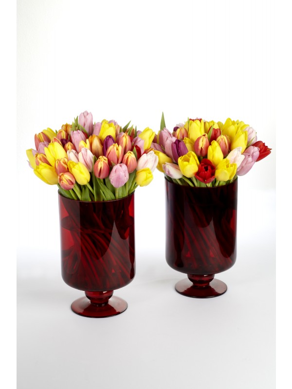 Contemporary Tulips