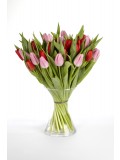 Tulips in Love